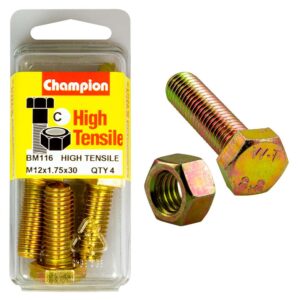 Champion M12 x 30 Set Screw & Nut (C) - GR8.8