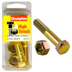 Champion M12 x 75 x 1.25 Bolt & Nut (C) - GR8.8
