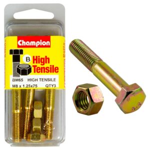 Champion M8 x 75 Bolt & Nut (B) - GR8.8