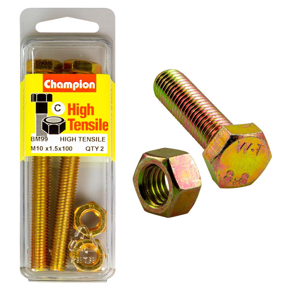 Champion M10 x 100 Set Screw & Nut (C) - GR8.8