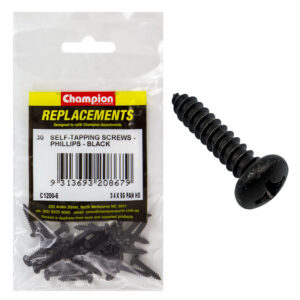 Champion 4.2 x 19mm Self Tapping Screw Pan Head Ph -30pk