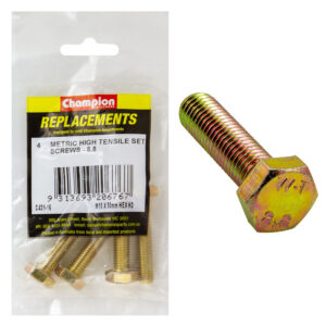 Champion M10 x 50mm x 1.50 Set Screw -Gr8.8 -4pk