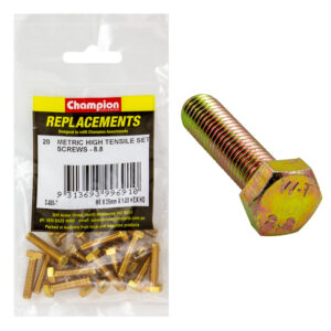 Champion M6 x 25mm x 1.00 Set Screw -Gr8.8 -20pk