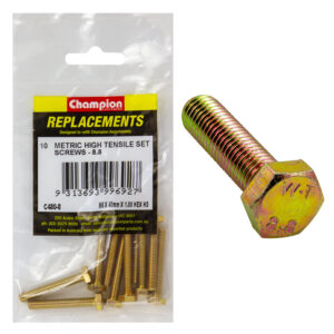 Champion M6 x 40mm x 1.00 Set Screw -Gr8.8 -10pk