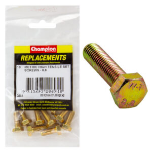 Champion M8 x 20mm x 1.00 Set Screw -Gr8.8 -10pk