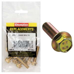 Champion M8 x 40mm Flange Head Set Screw -Gr8.8 -10pk