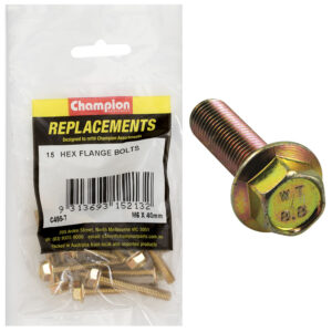 Champion M6 x 40mm Flange Head Set Screw -Gr8.8 -15pk