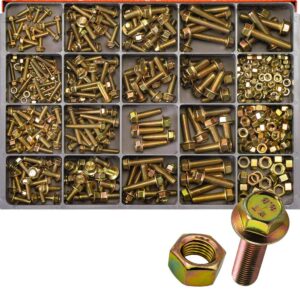 Champion Master Kit 455pc Metric Hex Flange Head Bolt & Nut