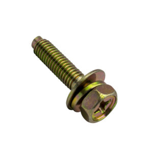 Champion M6 x 30mm Sems Hex /PH Bolt W/Spring & Flat Washer