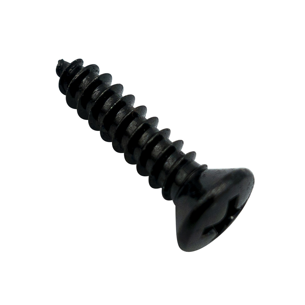 Champion 6G x 1in S/Tapping Screw Raised Head PH - 100pk