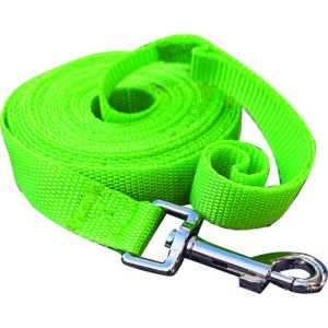 Sniffz 5M Long Training Lead - Green