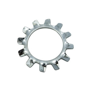 Champion 10mm External Star Washer - 100pk