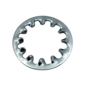 Champion 4mm Internal Star Washer - 100pk