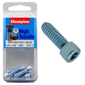 Champion Socket HD Set Screw 1/4in x 3/4in (B) - GR5