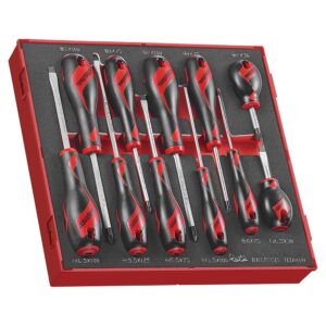 Teng 11pc MD Screwdriver Set - TED-Tray