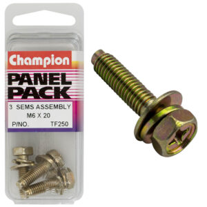 Champion Hex Set Screw Sems Flat/Spring Washer Pilot M6X20