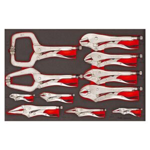 Teng 11pc Power Grip Plier Set (EVA)