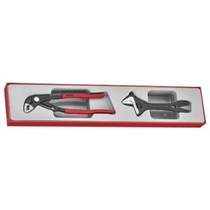 Teng 2pc Plier/Adjustable Wrench Set - TTX-Tray